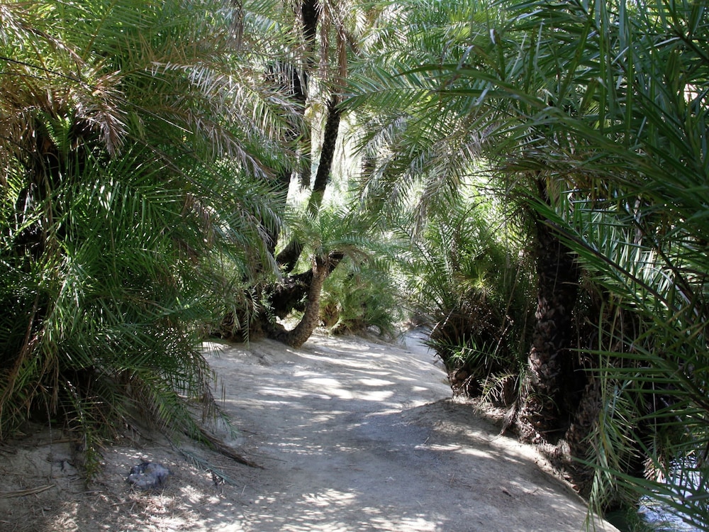 Photo 27