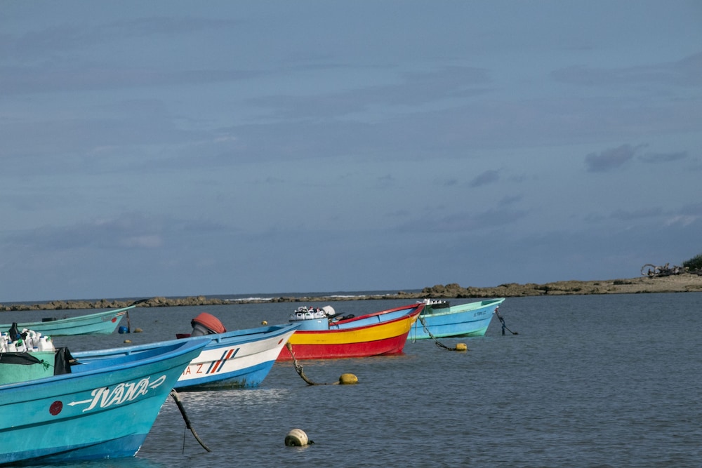 Photo 48