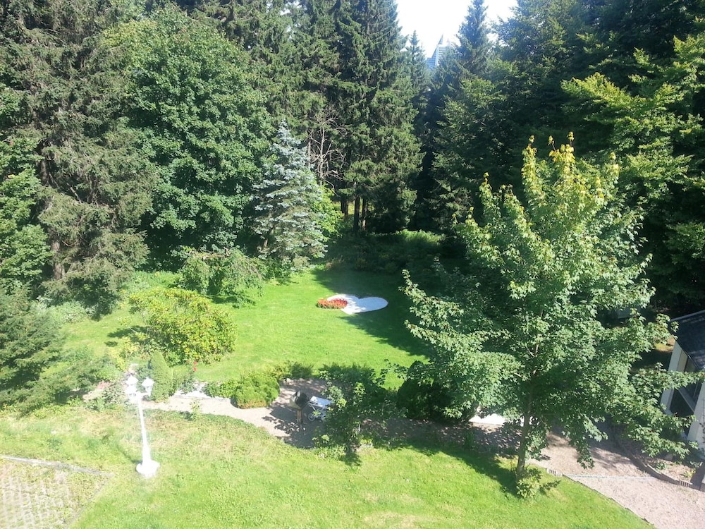 Photo 38