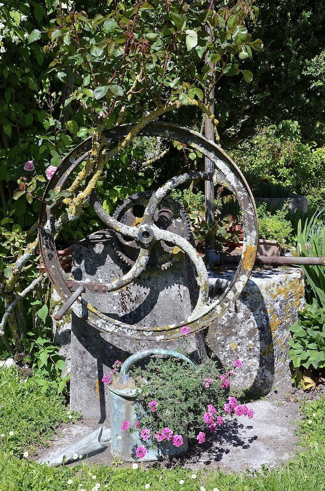 Photo 11