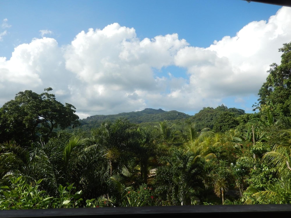A Peace in Paradise