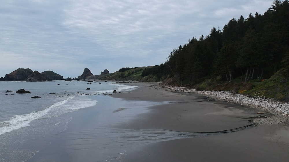 Photo 48