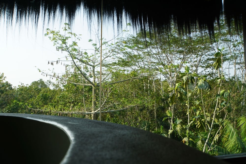 Samboja Lodge