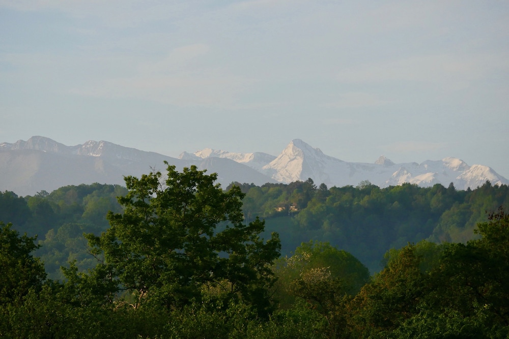 Photo 26