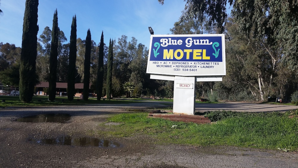 Willows Vacations - Blue Gum Motel - Property Image 39