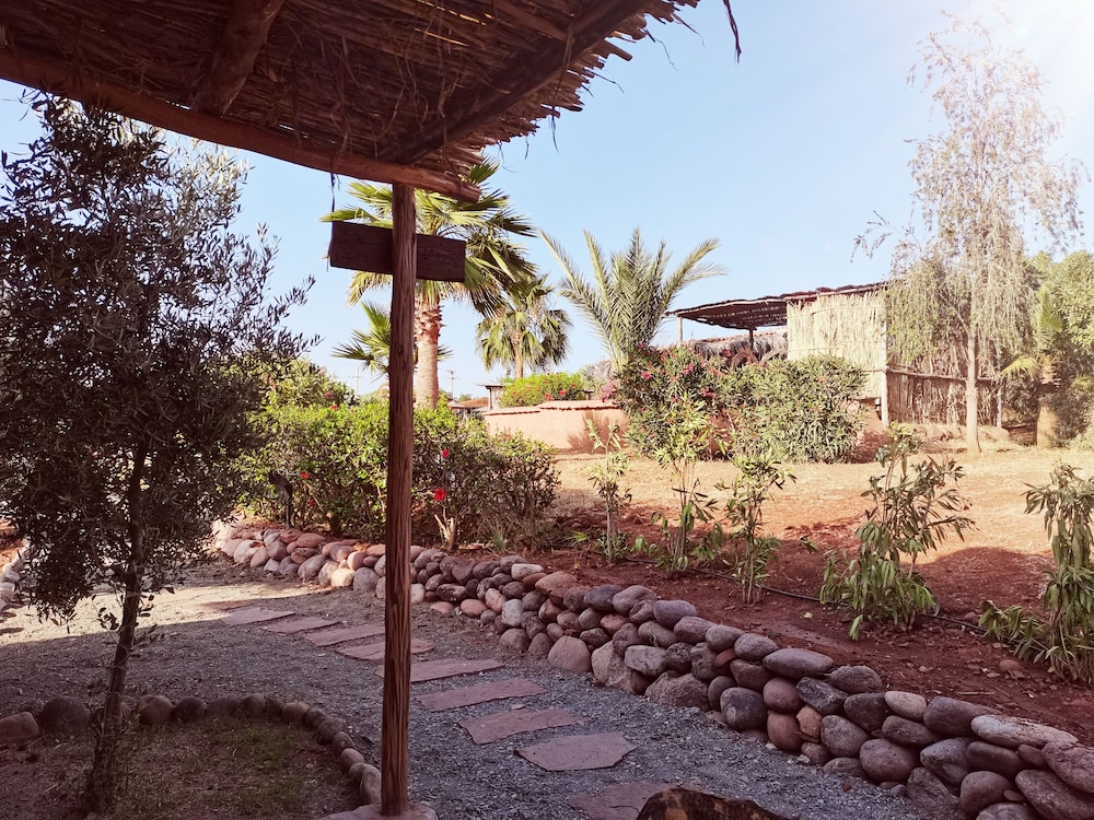 Photo 43