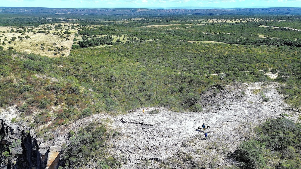 Fazenda Serra Negra - Terra Ronca