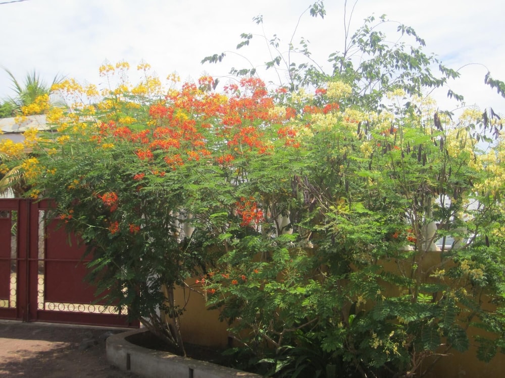 Photo 26