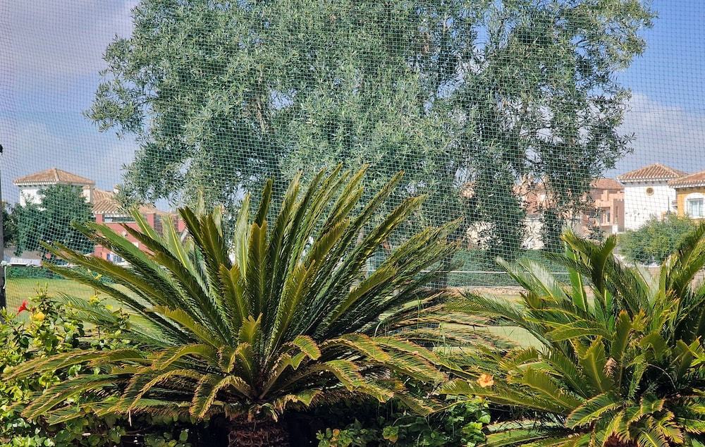 Luxury Villa - Pet Friendly & Free Parking