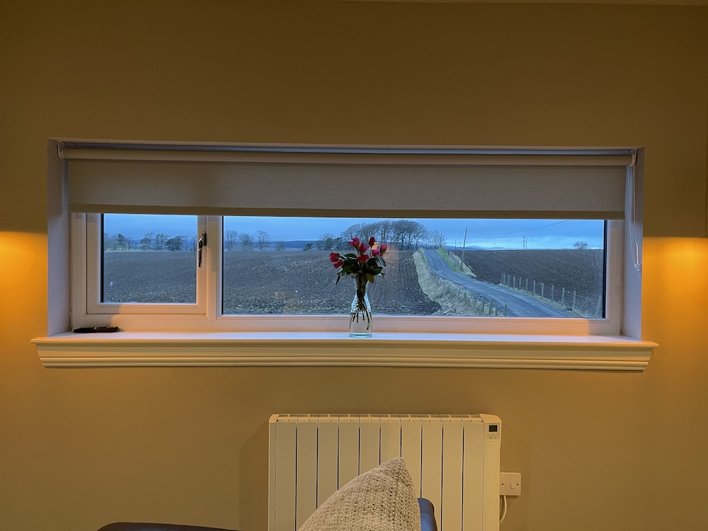 Fabulous Open Plan Studio Retreat - Cowdenbeath view 4