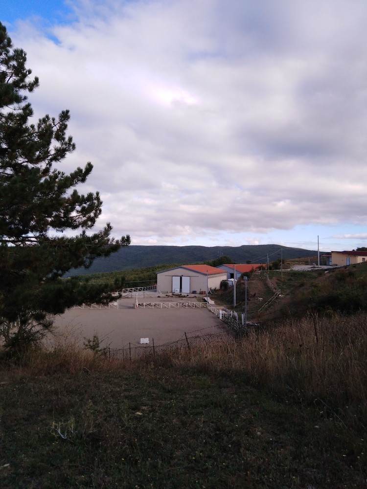 Photo 24