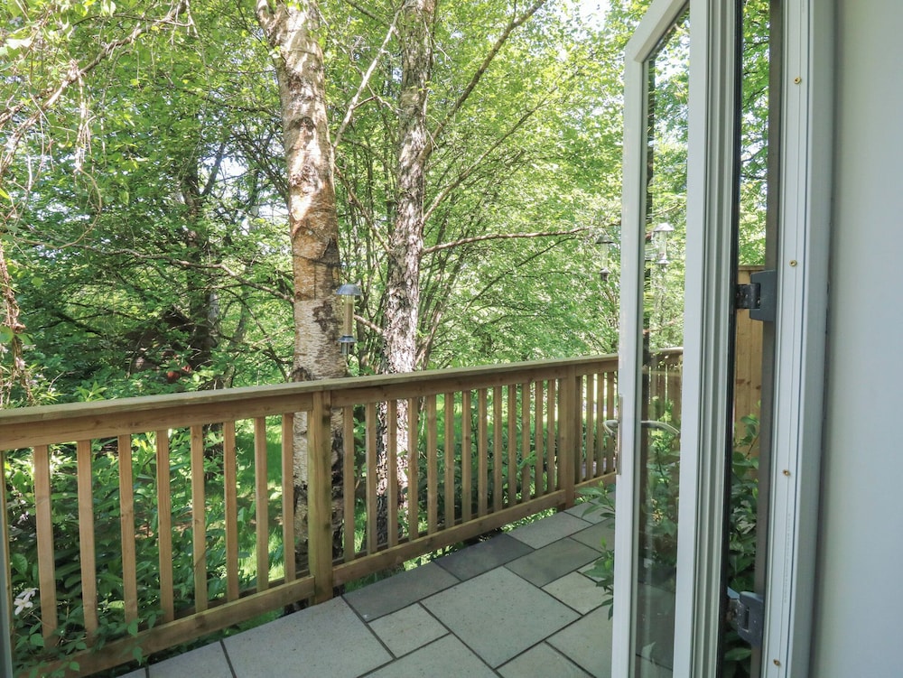 Treetops
