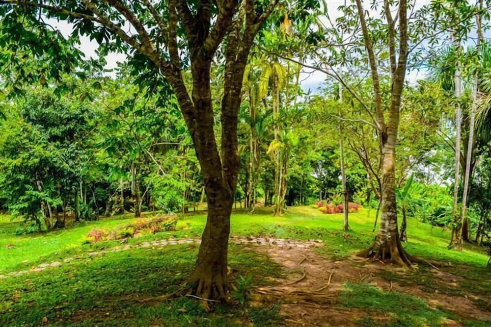 Lakshmi Ecolodge and Holistic Spa