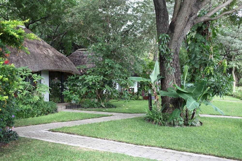Photo 44