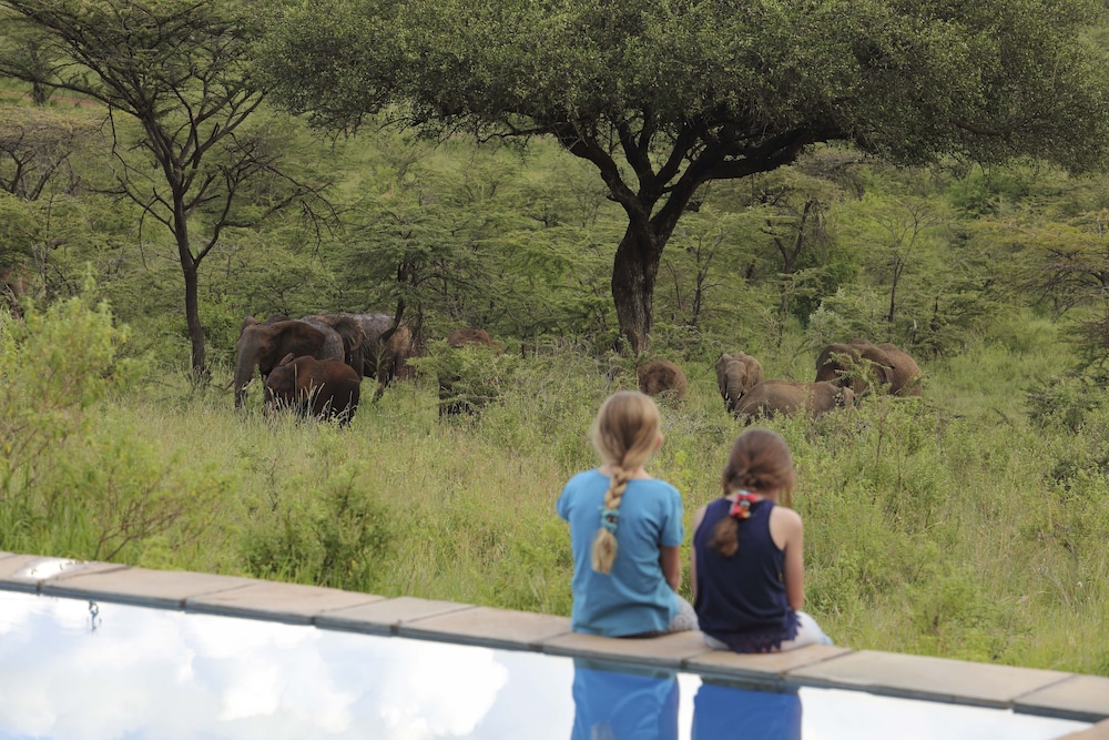 Spirit Of The Masai Mara