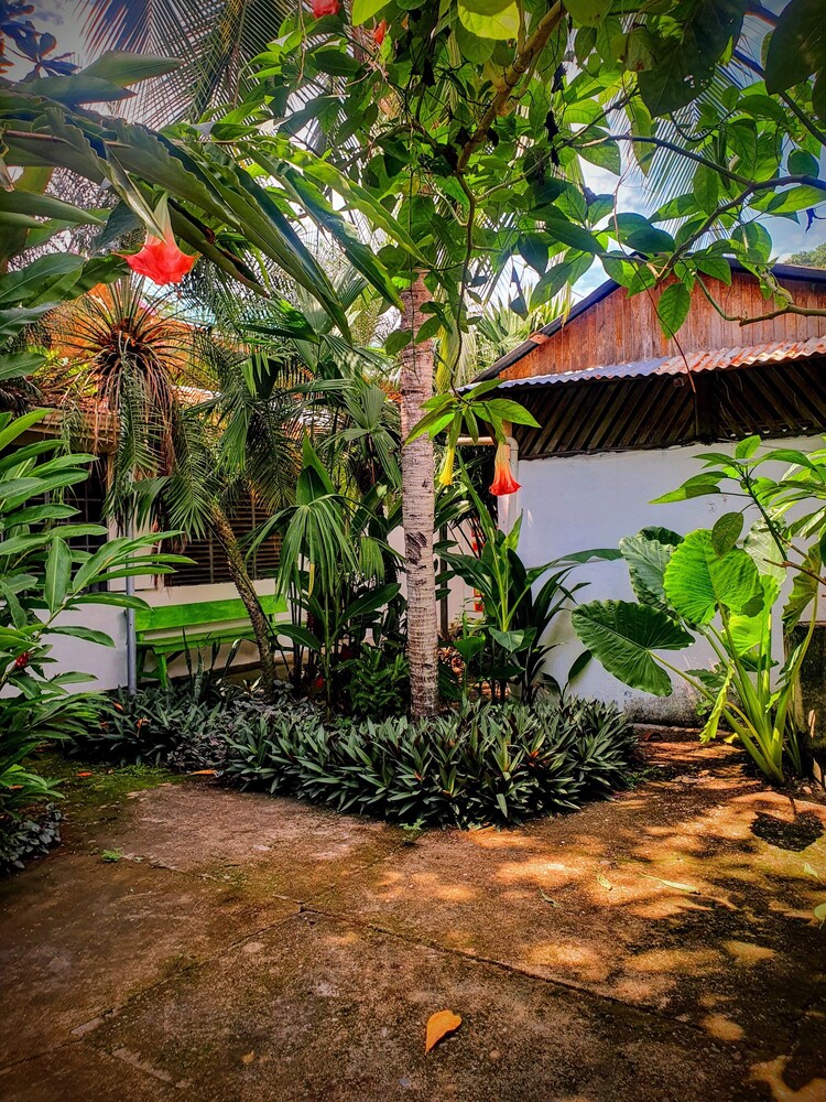 Arana House