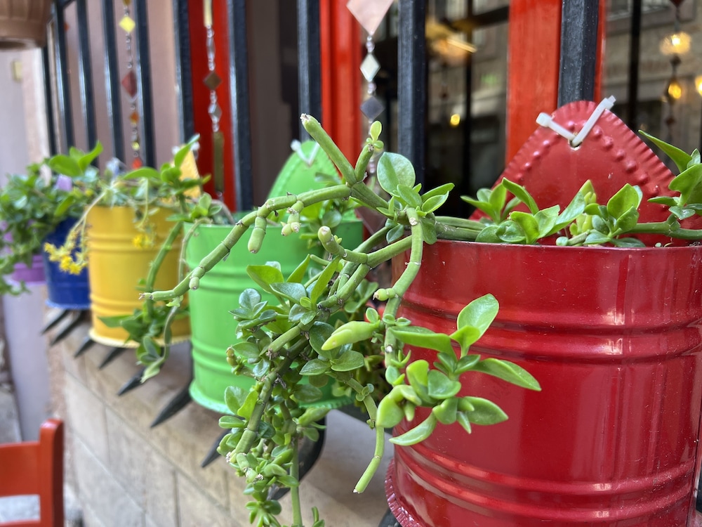 Sekercigiller Konuk Evi - Image 43