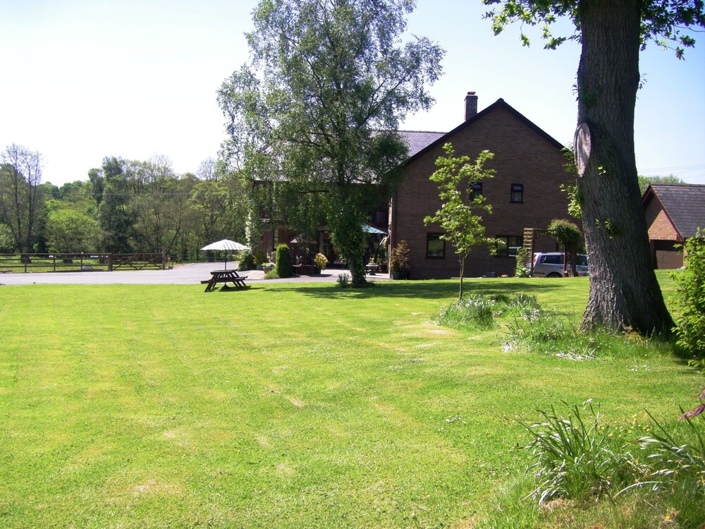 Photo 42