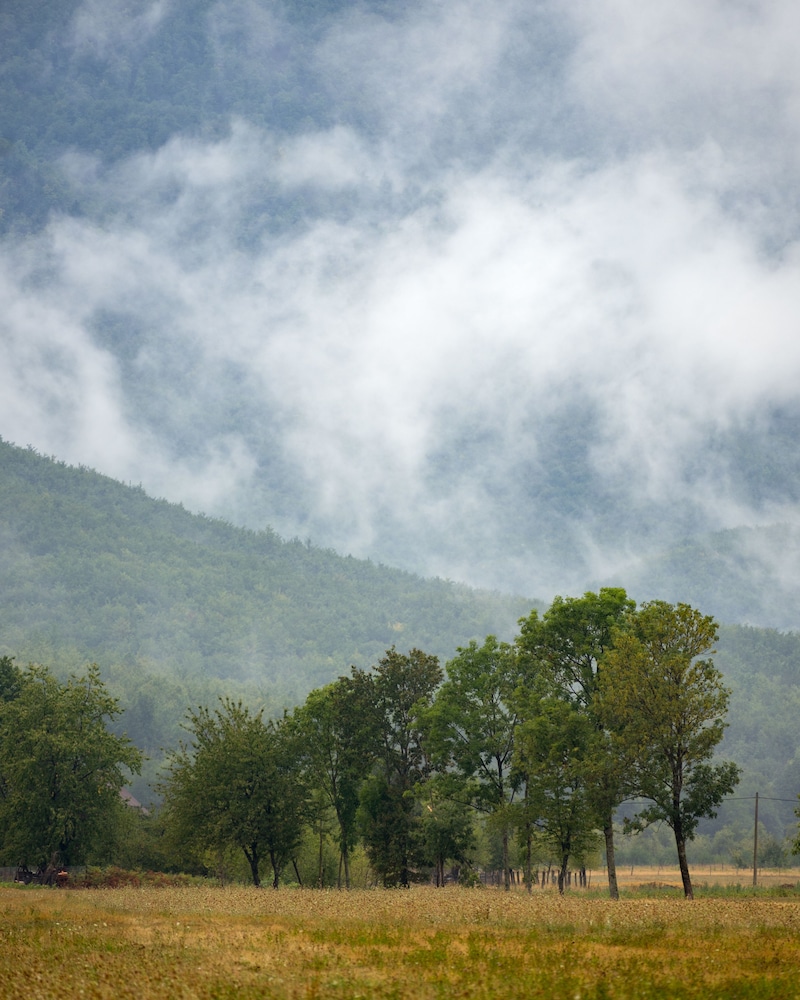 Linden Tree Retreat & Ranch