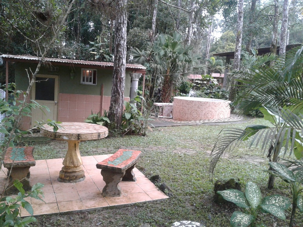 Photo 41
