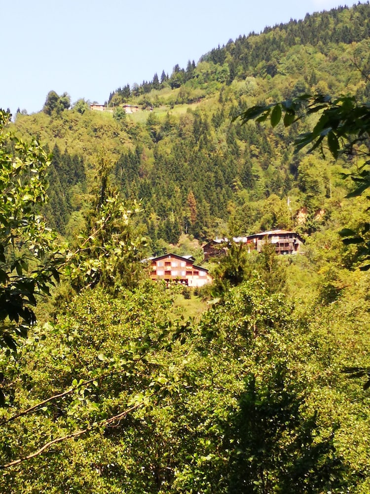 Dedaea Pansiyon