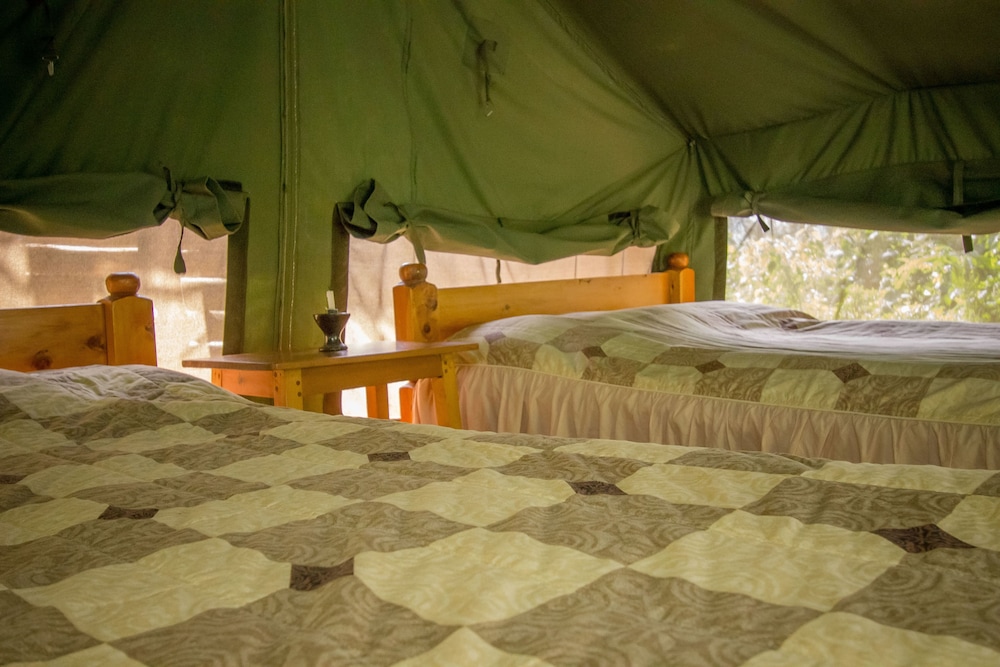 Bushara Island Camp