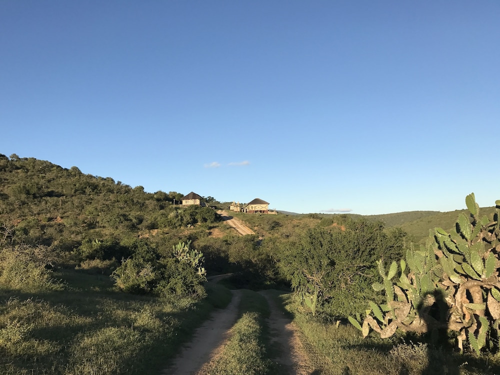 Addo Bush Palace Private Reserve