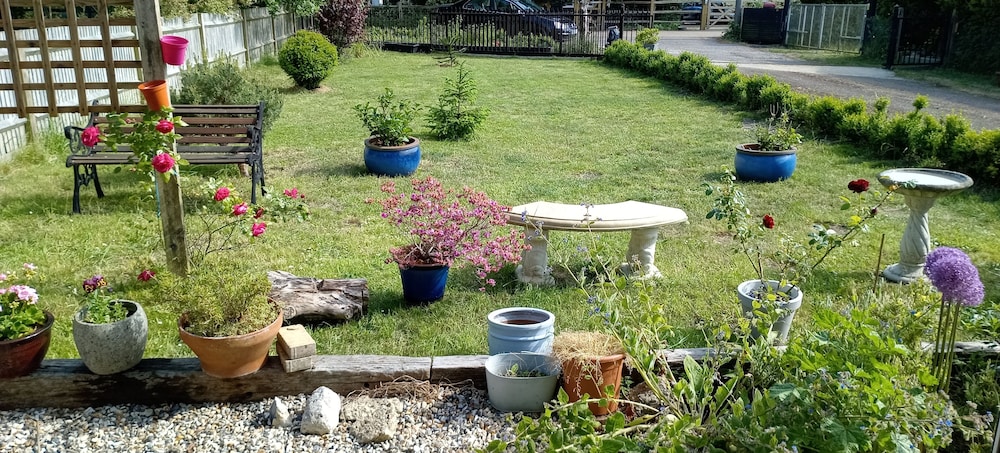 Photo 14