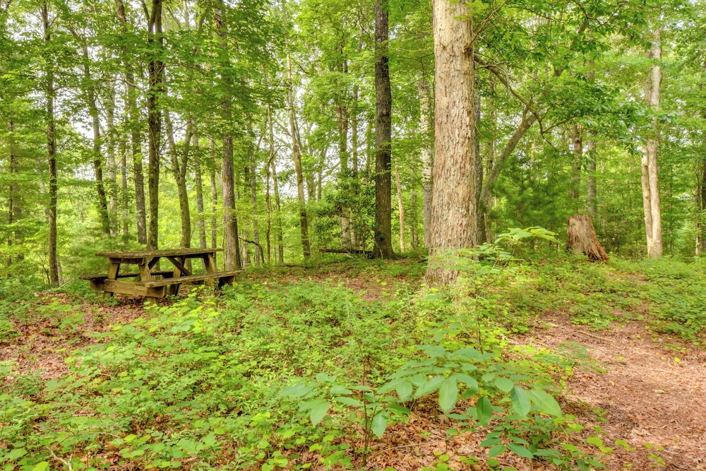 6 Mi to Helen: Mtn-view Retreat w/ Hot Tub!
