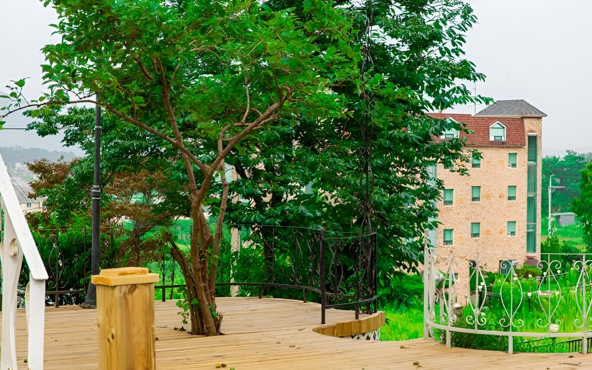 Photo 63
