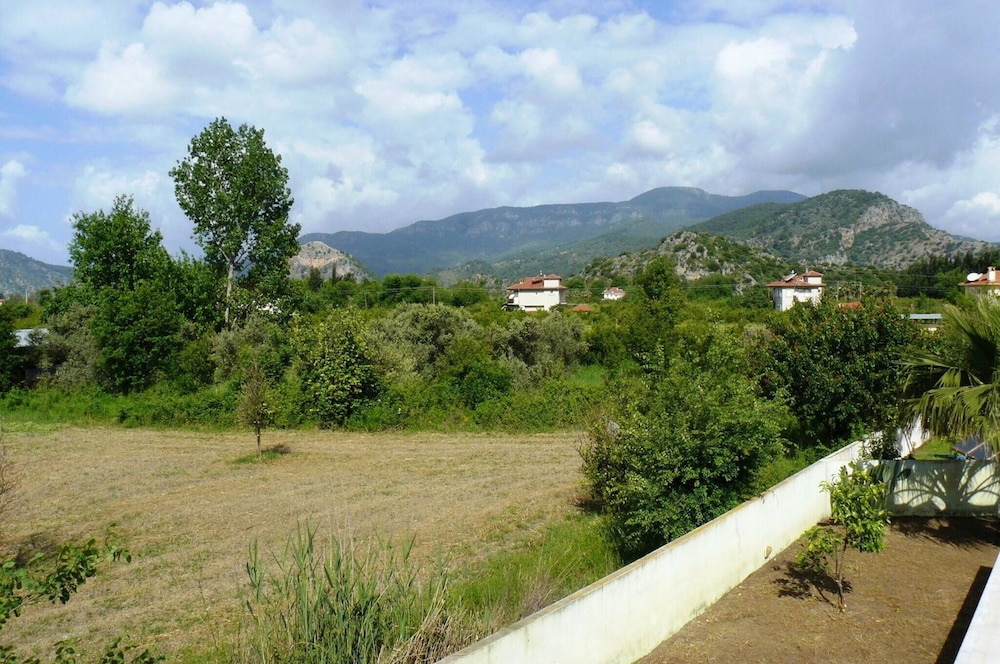 Photo 25