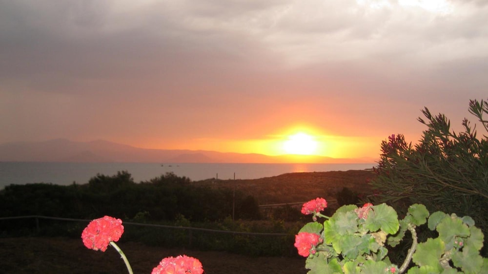 Aronis Plaka Naxos
