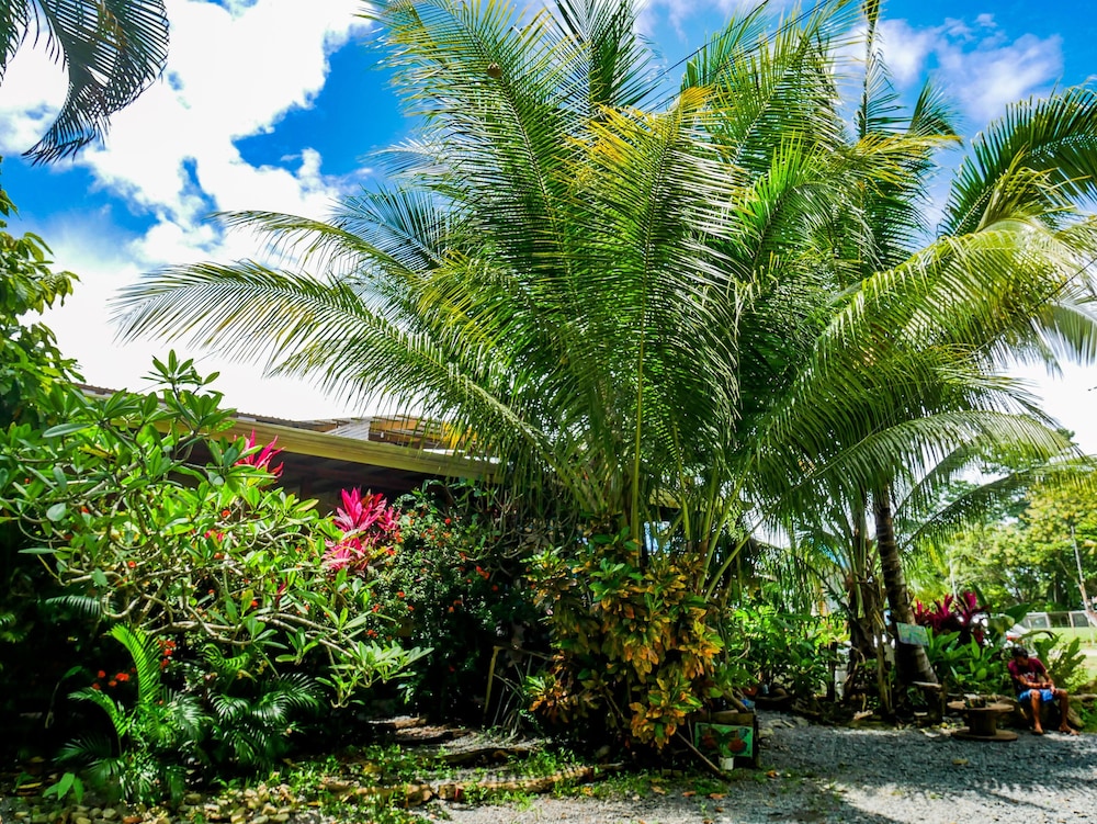 surfhouse pavones