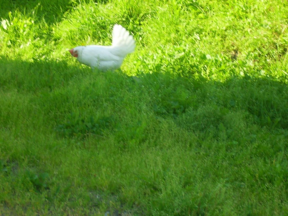 Täljegården Lantgårdshotell