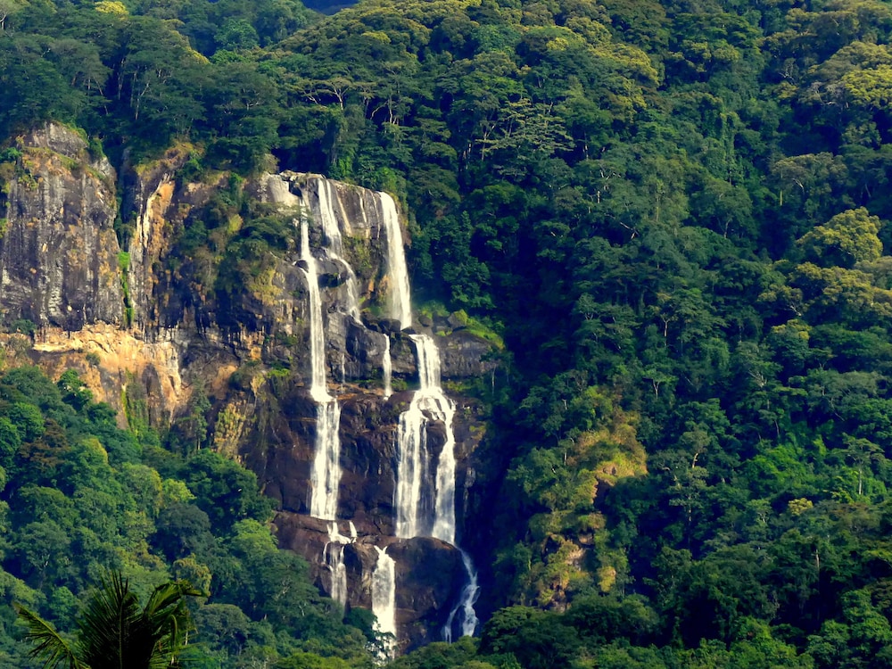 Udzungwa Forest Camp