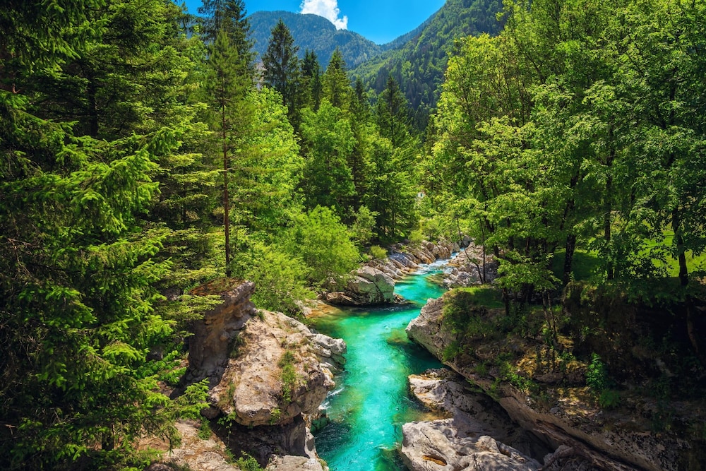 Apartment Marta Slovenia Nature