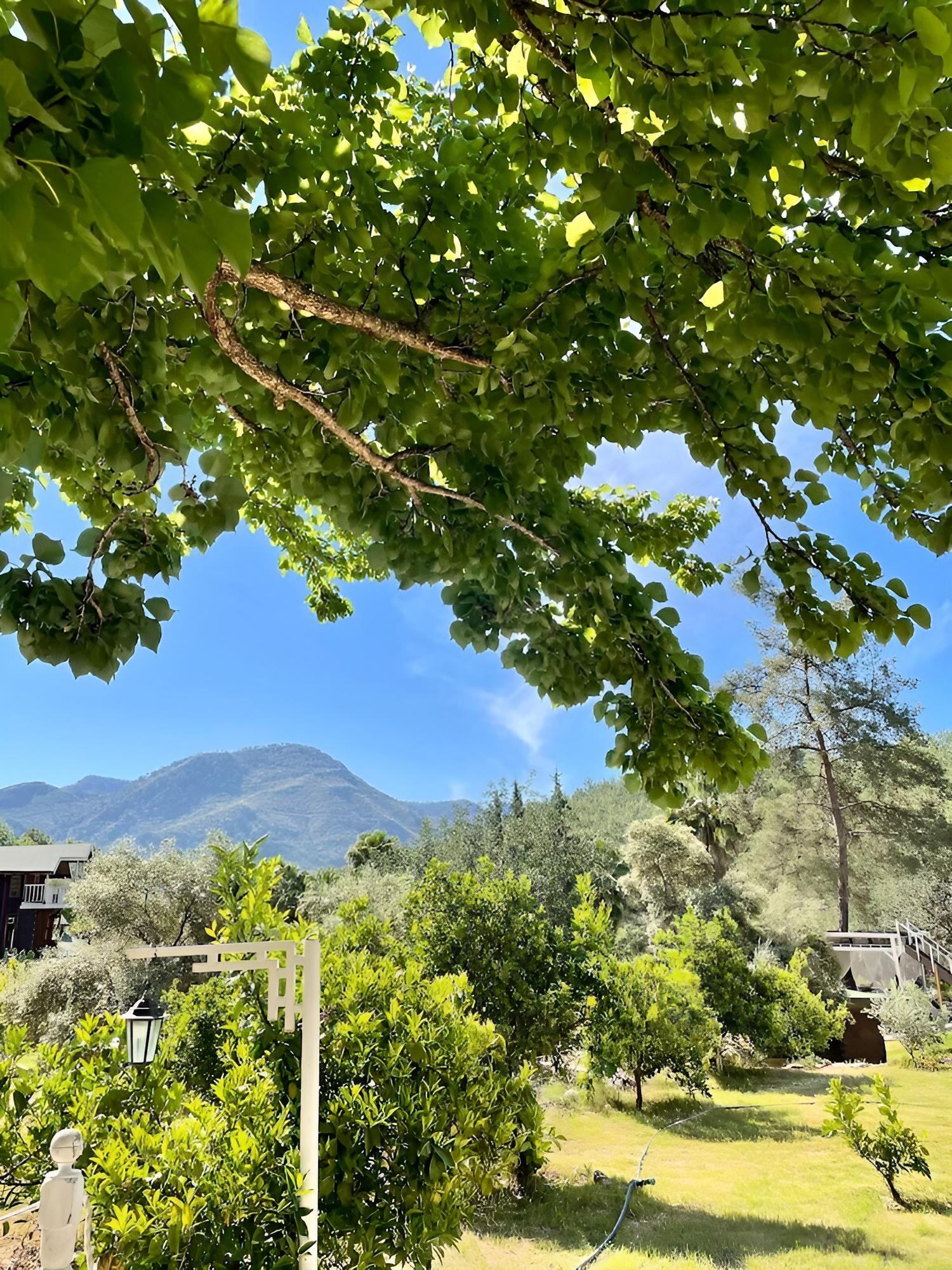 Olympos Angels Garden view 5