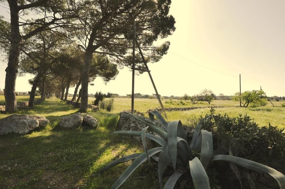 Masseria Frassaniti