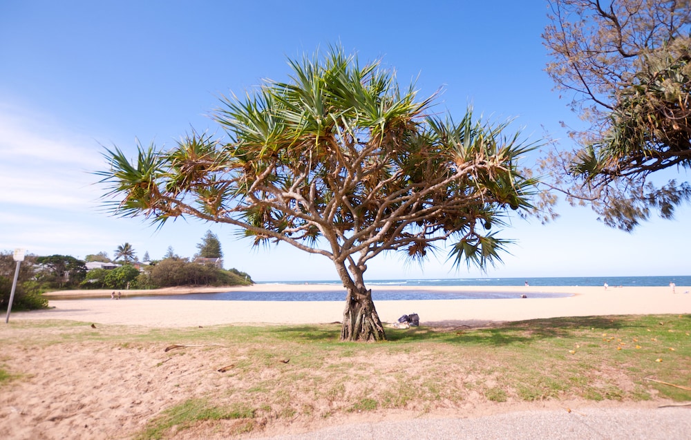 Raintrees Resort