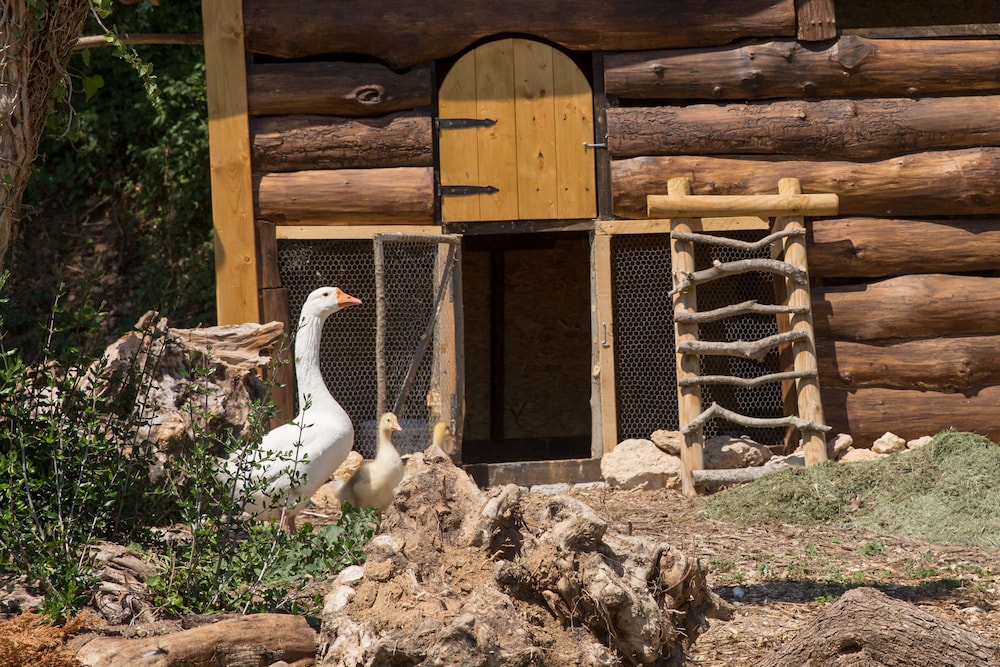 Agriturismo Le Anfore