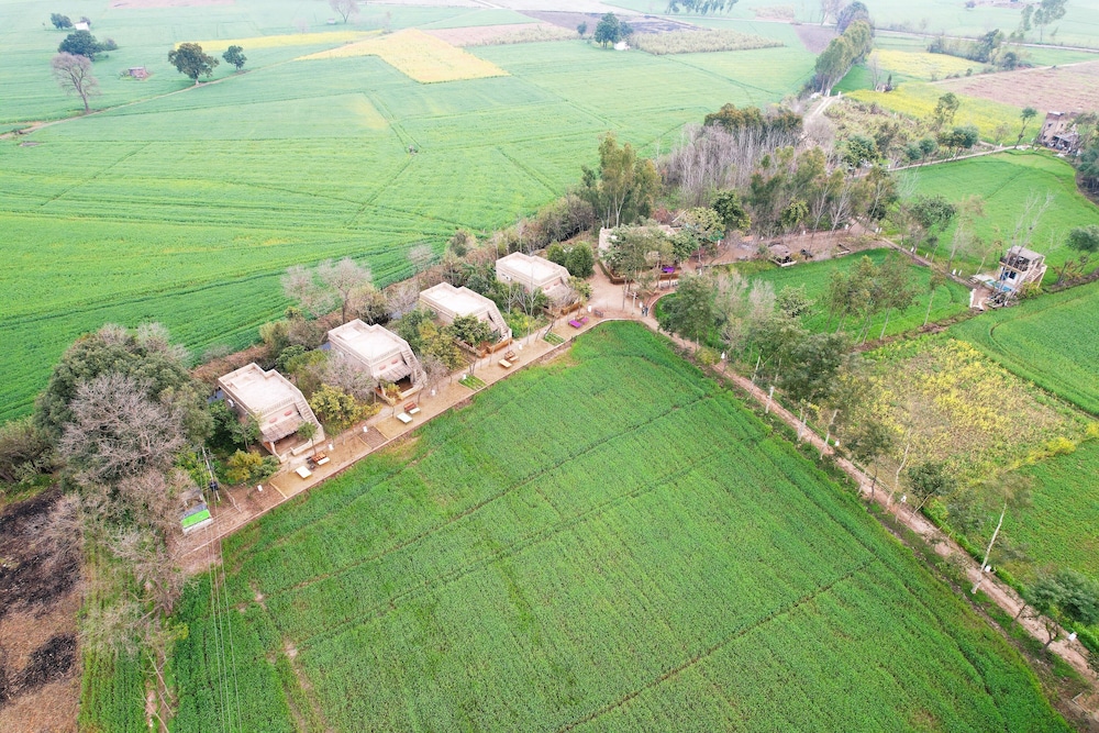 Punjab village farm near Amritsar
