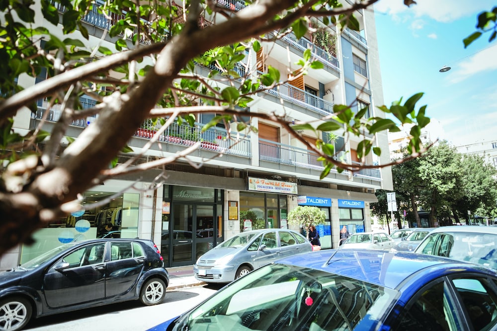 Kaktus Guest House