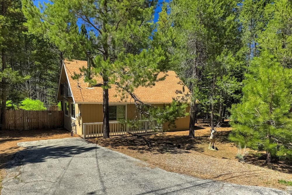 Stout House Cabin - Your Kids Favorite Backyard! view 5