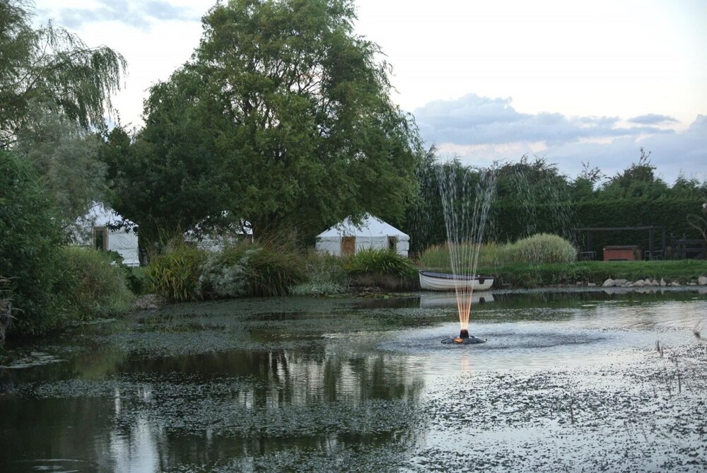 Photo 19