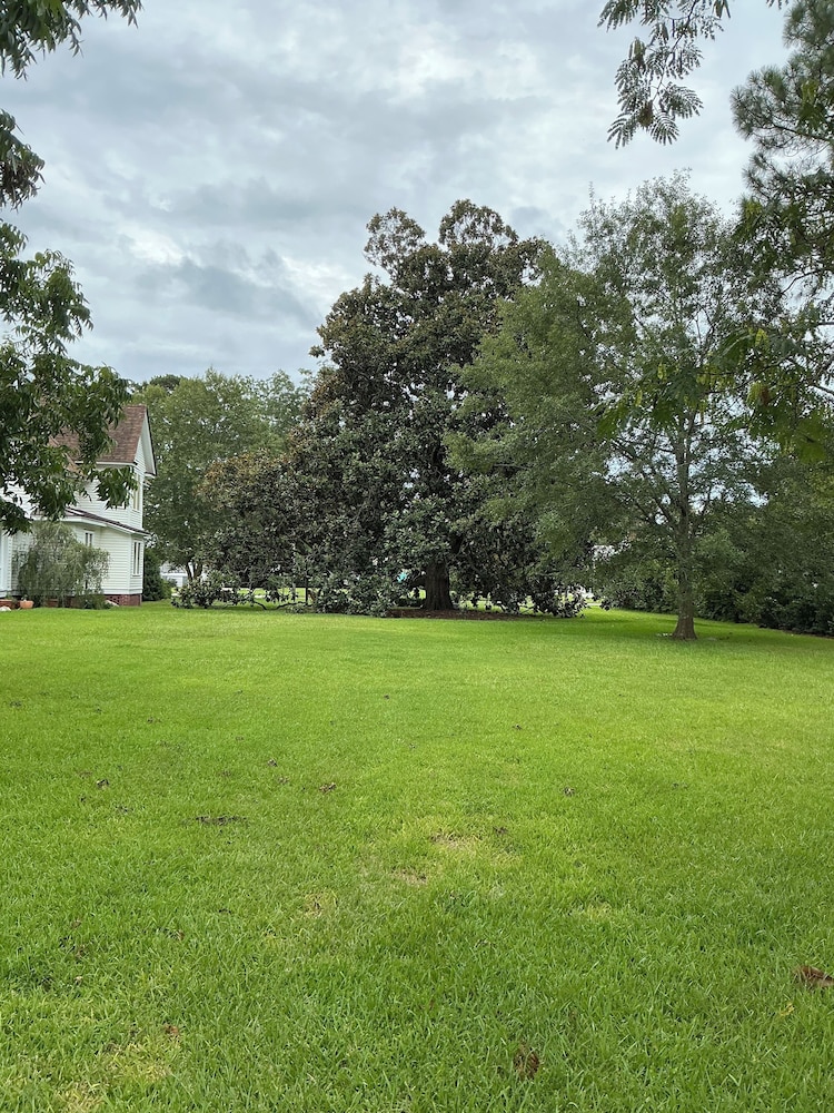 Magnolia House Bed & Breakfast