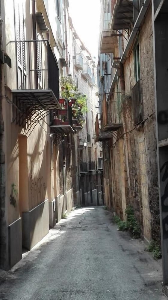 Palazzo Vatticani