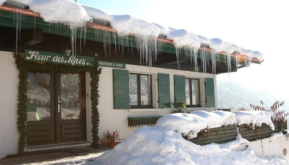 Chalet Fleur des Alpes