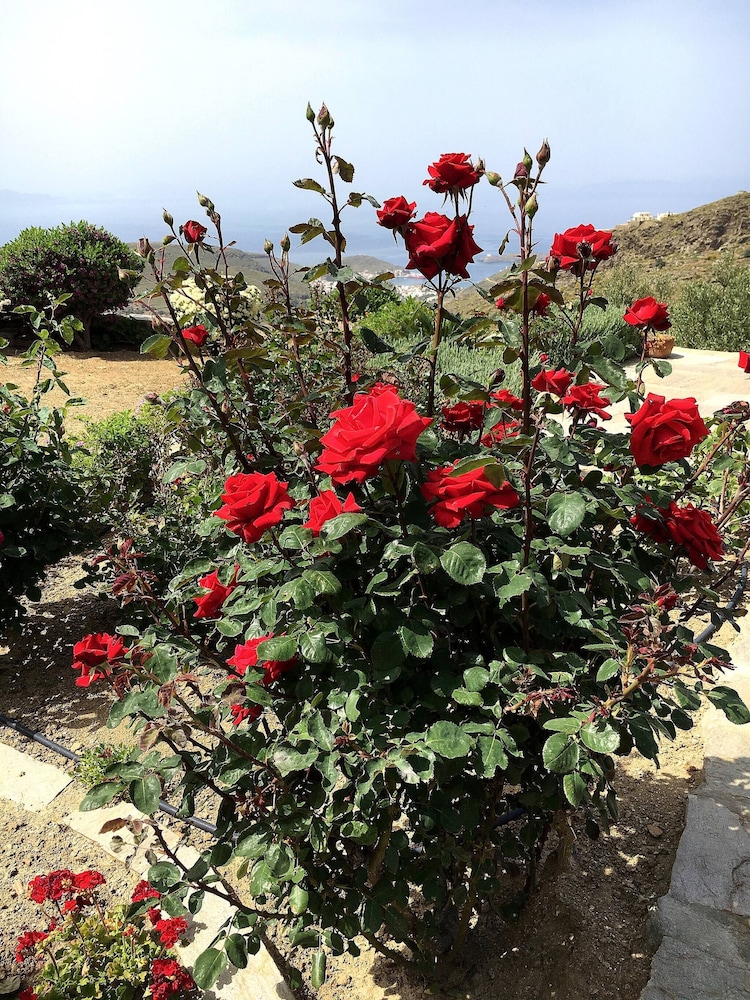Photo 44