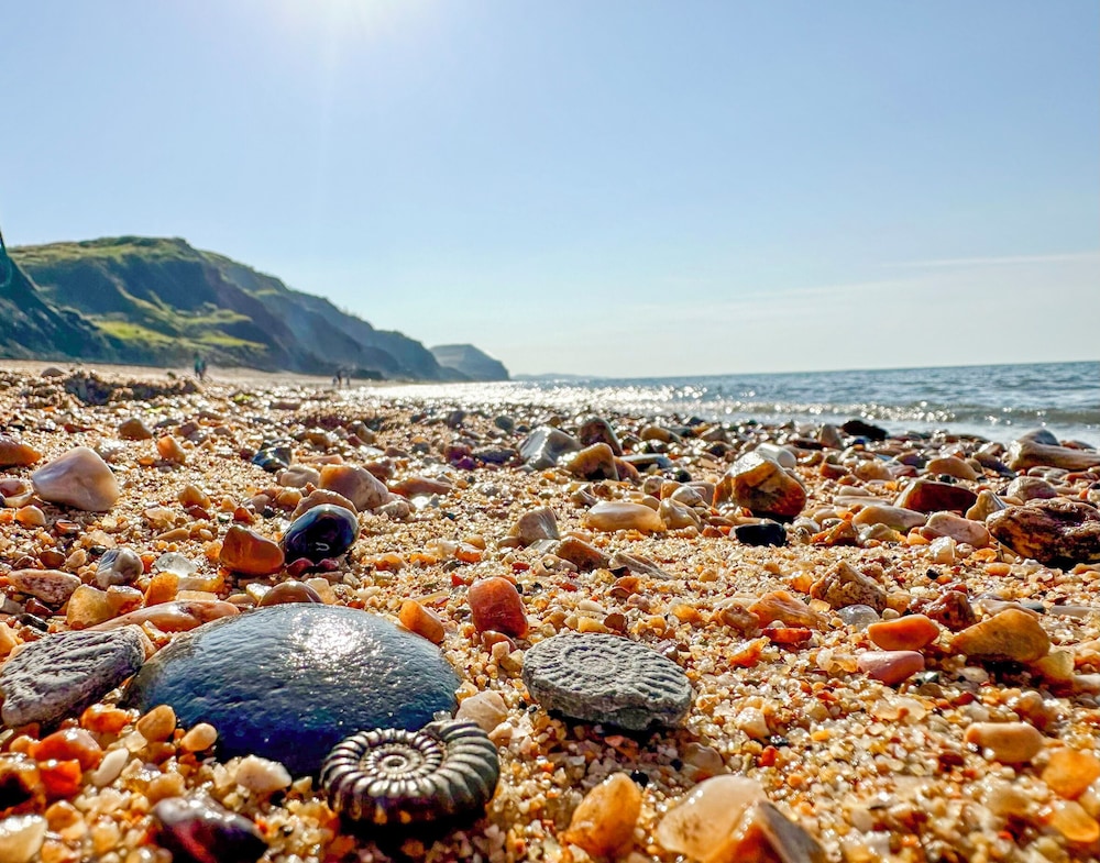 Charmouth Lodge