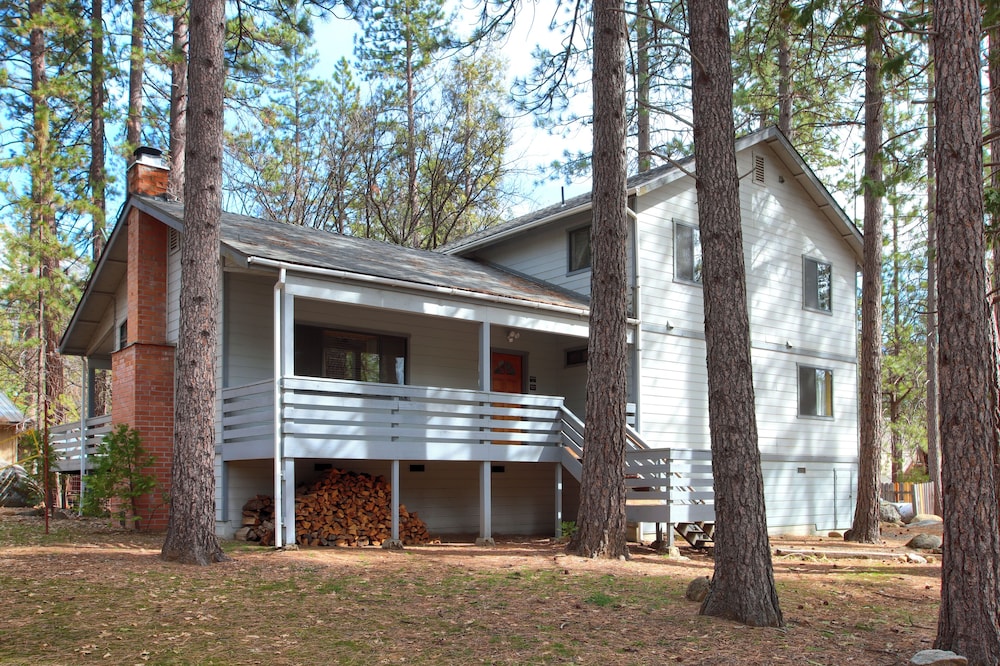 Cabin Among the Firs